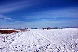 W-011.JPG