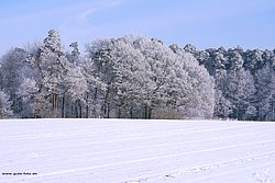 W-012.jpg