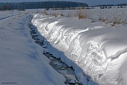W-013.jpg