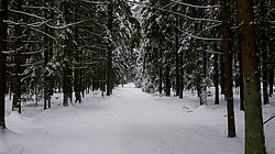 W-014.JPG