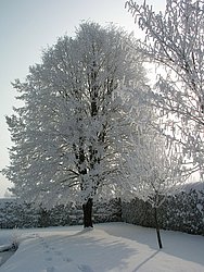 W-015.JPG