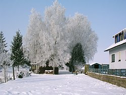 W-018.JPG