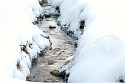 Winter-009.jpg
