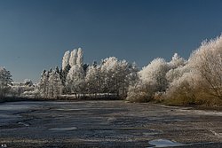 Winter-035.jpg