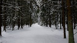 Winter-036.JPG