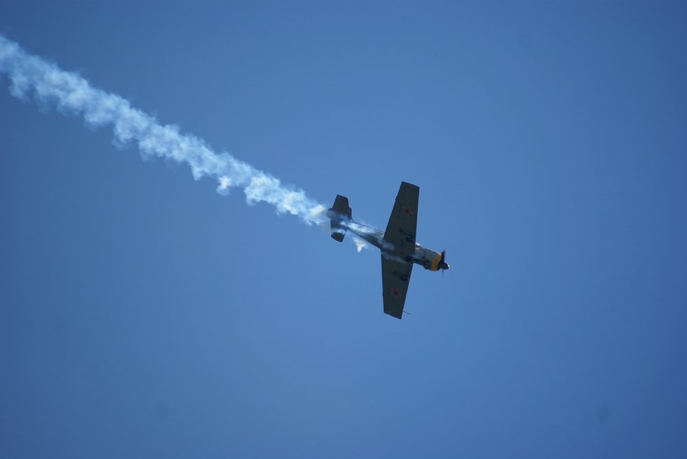 DSC02654.jpg