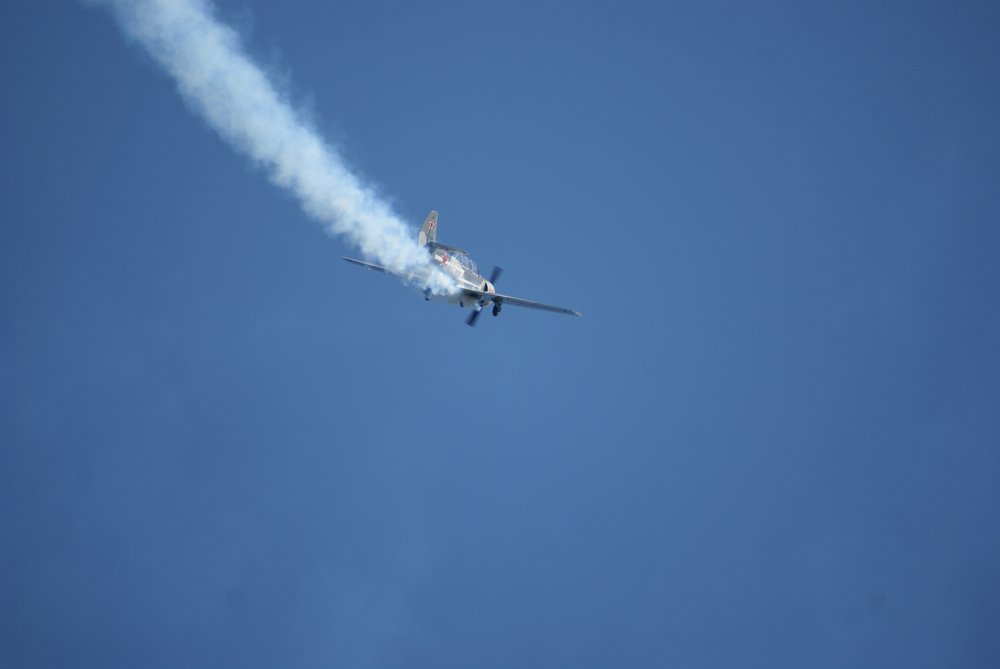DSC02706.jpg