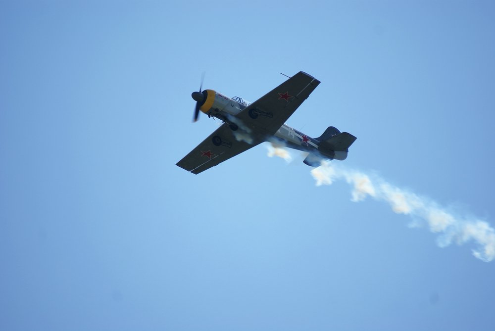 DSC02709.jpg