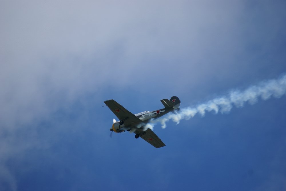 DSC02719.jpg
