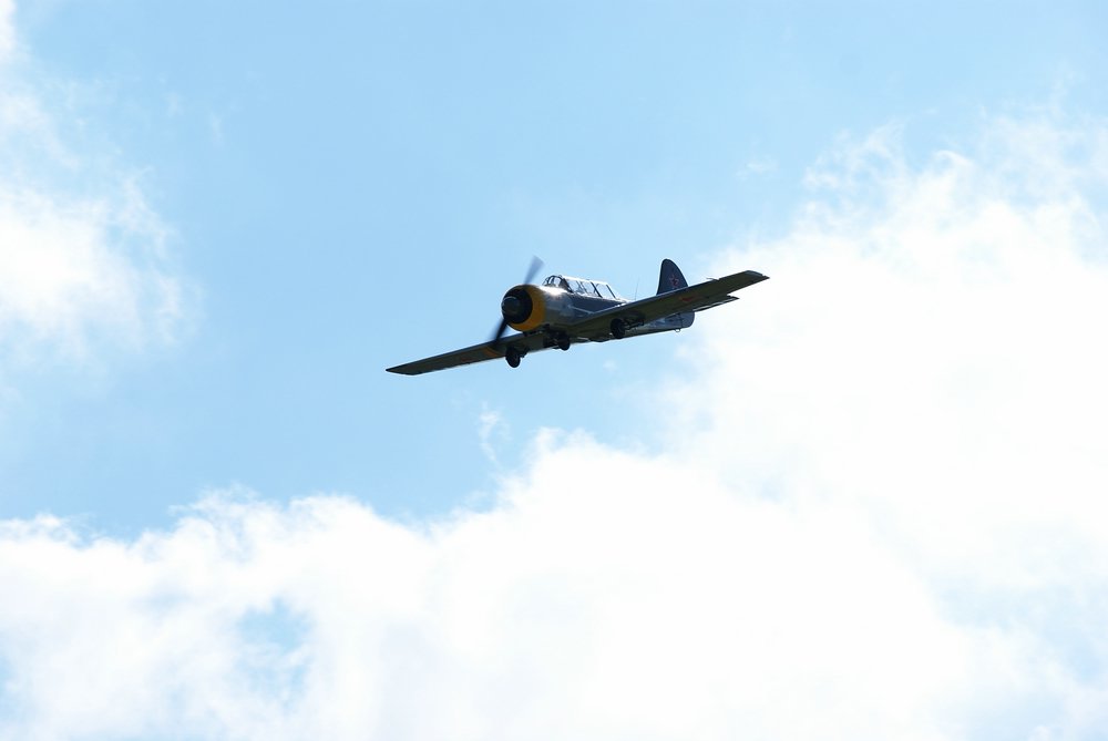 DSC02730.jpg