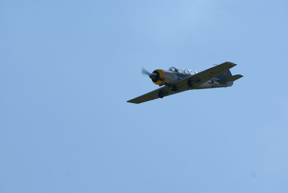 DSC02732.jpg