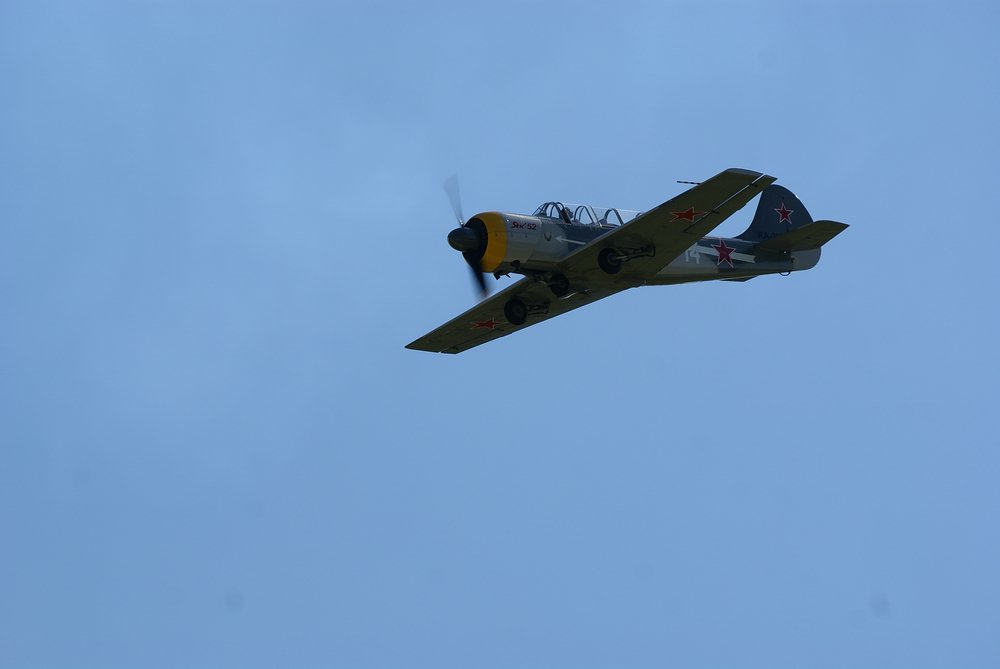 DSC02733.jpg