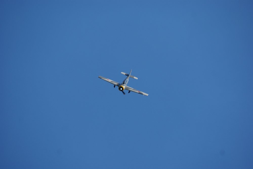 DSC02751.jpg