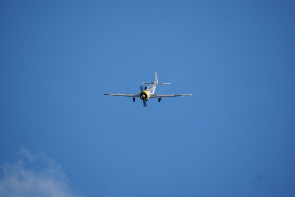 DSC02753.jpg