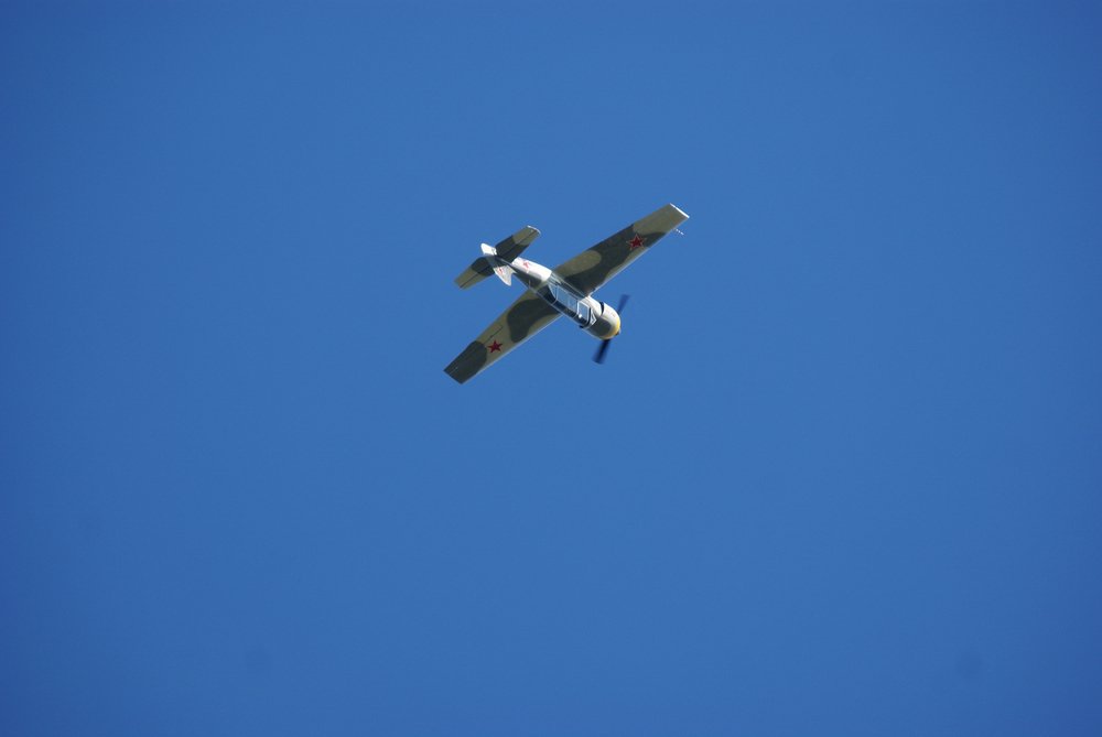 DSC02766.jpg