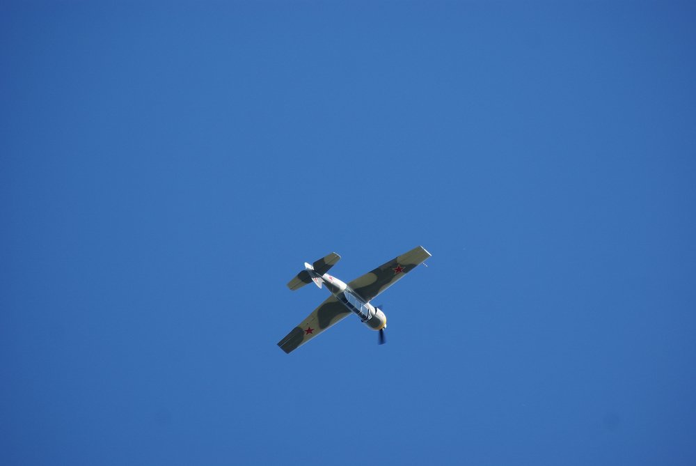 DSC02767.jpg