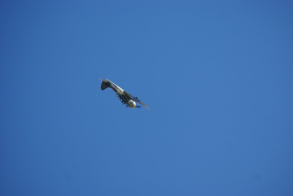 DSC02769.jpg