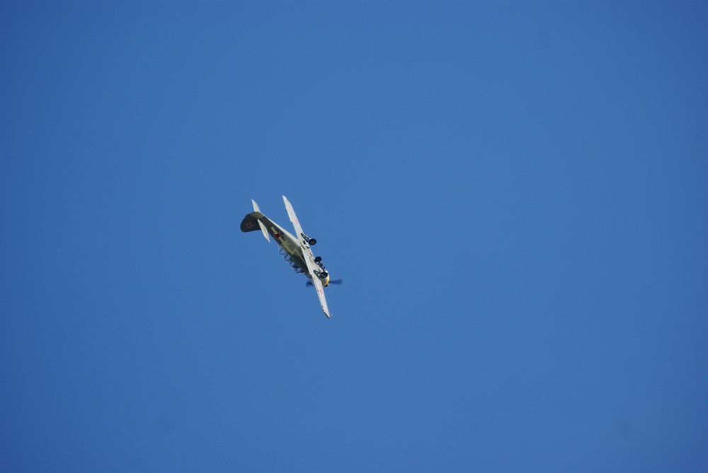 DSC02770.jpg