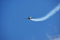 DSC02689.jpg