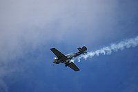 DSC02719.jpg