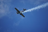 DSC02720.jpg