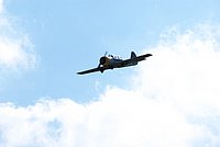 DSC02730.jpg