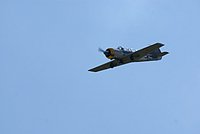 DSC02732.jpg