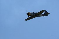 DSC02733.jpg