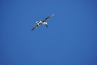DSC02764.jpg