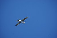 DSC02765.jpg