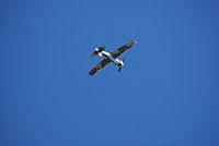 DSC02766.jpg