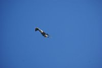 DSC02769.jpg