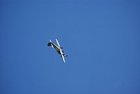 DSC02770.jpg