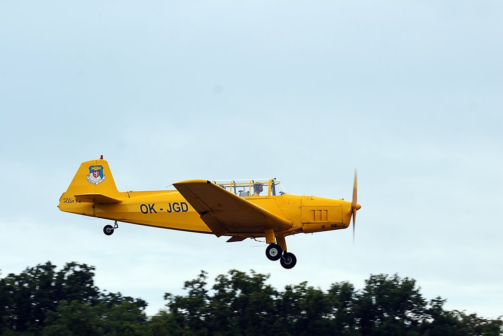 OK-JGD-1.jpg