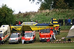 D-ELAS-1.jpg