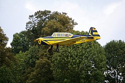 D-ELAS-2.jpg