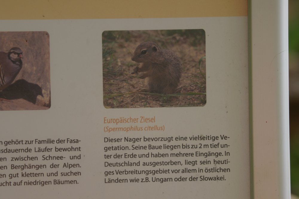 Zwiesel-004.JPG
