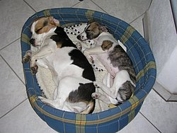 1.JPG