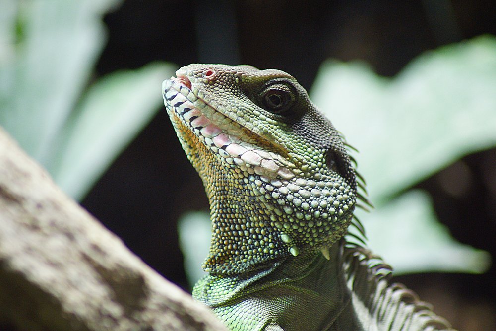 gruener-Wasseragame-02.jpg