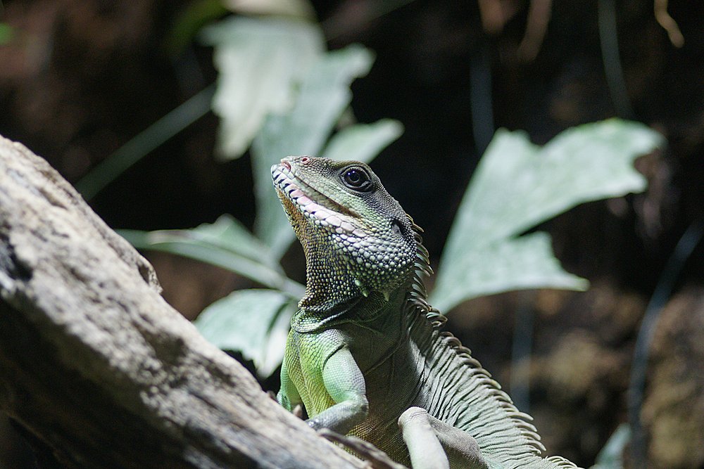 gruener-Wasseragame-03.jpg